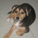 Kira